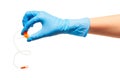 Close up of female doctor's hand in blue sterilized surgical glove with orange plastic catheter against white
