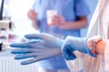 Close up of female doctor's hands putting on blue sterilized surgical gloves in the medical clinic. Royalty Free Stock Photo