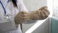 Close up of female doctor`s hands putting on sterilized surgical gloves in the office. Royalty Free Stock Photo