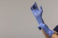 Close up of female doctor& x27;s hands putting on blue sterilized surgical gloves in the office. Royalty Free Stock Photo