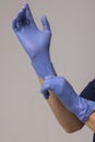 Close up of female doctor& x27;s hands putting on blue sterilized surgical gloves in the office. Royalty Free Stock Photo