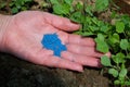 Close up of female farmers hand holding vegetable seeds Royalty Free Stock Photo