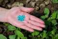 Close up of female farmers hand holding vegetable seeds. Royalty Free Stock Photo