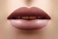 Close-up Female Full Lips with Fashion Natural Lipstick Makeup. Macro Sexy Lip Stick Make-up. Mat Fashionable Style Royalty Free Stock Photo