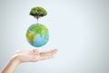 Close up of female hand holding abstract globe with tree on light background with mock up place. World, earth, ecology and planet Royalty Free Stock Photo
