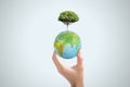 Close up of female hand holding abstract globe with tree on background. World, earth, ecology and planet concept Royalty Free Stock Photo