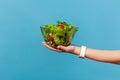 Close up female hand holding big glass bowl with green salad from fresh red tomatoes and lettuce leaves, organic nutrition, Royalty Free Stock Photo