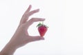 A female hand holding a fresh looking strawberry on a light background.Healthy food and lifestyle concept Royalty Free Stock Photo