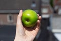 Close-up of female hand holding green apple outdoors. Royalty Free Stock Photo