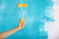 Close up of female hand holding paint yellow roller over blue background-repair, construction and building tools concept. Royalty Free Stock Photo