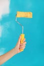 Close up of female hand holding paint yellow roller over blue background-repair, construction and building tools concept. Royalty Free Stock Photo