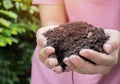 Close up of female hand holding soil, hand dirty with soil, hands holding soil in agricultural field Royalty Free Stock Photo