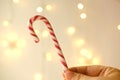 Close-up female hand holds candy cane, traditionally white with red stripes cane-shaped stick candy, Christmastide, Saint Nicholas