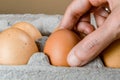 Close up of female hand taking a hen egg from a cardboard egg box Royalty Free Stock Photo