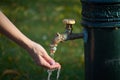 Close-up of female hand under water from an old-style column with drinking water in an autumn park, selective focus Royalty Free Stock Photo