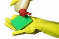 Close up of female hand in yellow protective rubber glove holding green cleaning sponge against white background. Royalty Free Stock Photo