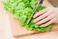 Close-up Female hands chopping a green plant salad cooking salad from vegetables on a wooden cutting board at home. The Royalty Free Stock Photo