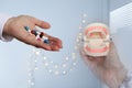 Close-up of female hands, doctor dentist holds model of the human jaw, demonstrates teeth, dental concept, oral hygiene, treatment Royalty Free Stock Photo