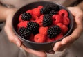 Female hands holding a bowl full of blackberries and raspberries Royalty Free Stock Photo