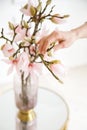 Close up of female hands that holding glass vase in both hands and creating festive mood. The woman`s hand touches the beautiful Royalty Free Stock Photo