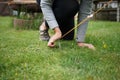 Close up of female hands pegging down a tent on grass. Royalty Free Stock Photo