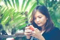 Close-up of female hands using modern smart phone while working,Young woman using a touchscreen smartphone Royalty Free Stock Photo