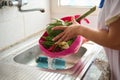 Close-up of female hands washing artichoke and veggies under flowing water, standing by a stainless sink in home kitchen Royalty Free Stock Photo