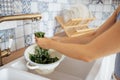 Close-up of female hands washing fresh spinach. A young woman in a modern cozy kitchen washes green leaves in the sink Royalty Free Stock Photo