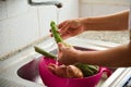 Close-up of female hands washing zucchini and veggies under flowing water, standing by a stainless sink in home kitchen Royalty Free Stock Photo