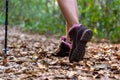 Close-up of female hiker feet and shoe walking on forest trail. Royalty Free Stock Photo