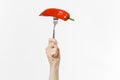 Close up female holds in hand red fresh red hot chili pepper on fork isolated on white background. Proper nutrition Royalty Free Stock Photo