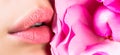 Close-up of female lips with pink flower. Closeup sexy female lip with red color lipstick. Women& x27;s lips and red Royalty Free Stock Photo