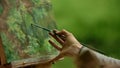 Close-up of a female`s palm an artist with a brush doing the finishing touches over painting.