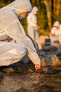 Close-up of female scientist collecting water sample from sea Royalty Free Stock Photo