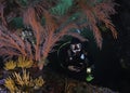 A close up of a female scuba diver exploring the reef