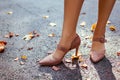 Close up of female shoes. Woman wears stylish brown high-heeled shoes in autumn park standing among falling leaves. Royalty Free Stock Photo