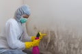 Close up of a female worker of cleaning service removes mold from wall using sponge and spray bottle with mold remediation Royalty Free Stock Photo