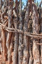 Close-up of fence of a Himba kraal