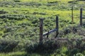 A close up of a fence line in lush green field Royalty Free Stock Photo