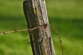 Close up of a fence post with barb wire Royalty Free Stock Photo