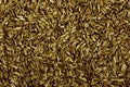Close up the fennel seed texture background Royalty Free Stock Photo
