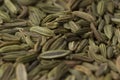 Close up fennel seed texture background Royalty Free Stock Photo