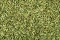close up the fennel seed texture background Royalty Free Stock Photo