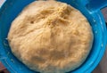 Close-Up Fermented Dough