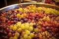 close-up of fermenting grapes in a winery vat Royalty Free Stock Photo