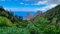 Close up on fern plant with panoramic view on Roque de las Animas crag in the Anaga mountain range, Tenerife, Canary Islands