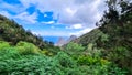 Close up on fern plant with panoramic view on Roque de las Animas crag in the Anaga mountain range, Tenerife, Canary Islands