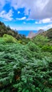 Close up on fern plant with panoramic view on Roque de las Animas crag in the Anaga mountain range, Tenerife, Canary Islands,