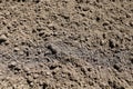 A close-up of fertile arable land. Black soil. Texture.