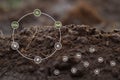 Close up fertile loamy soil for planting. Royalty Free Stock Photo